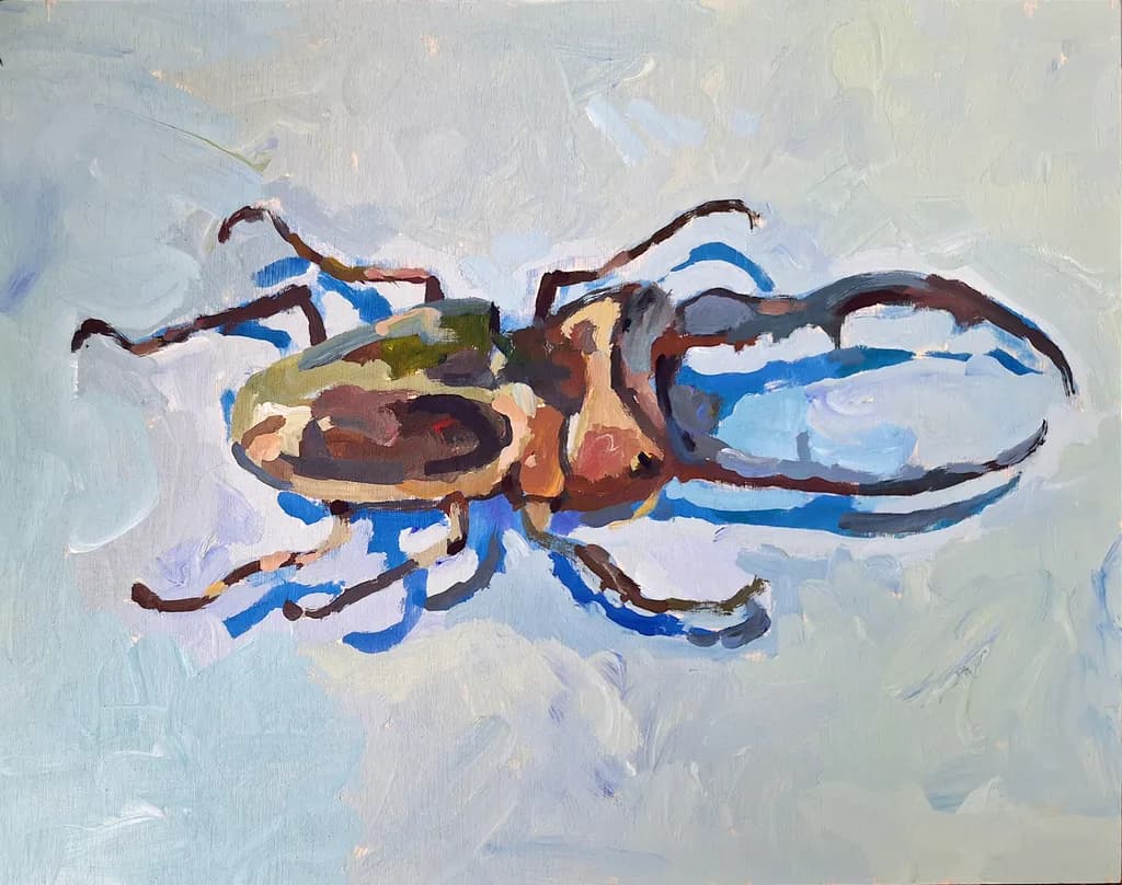 Stag Beetle