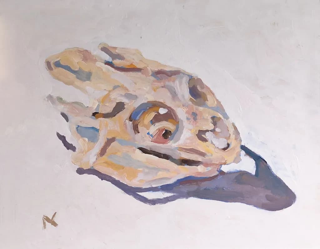 Cooter Skull