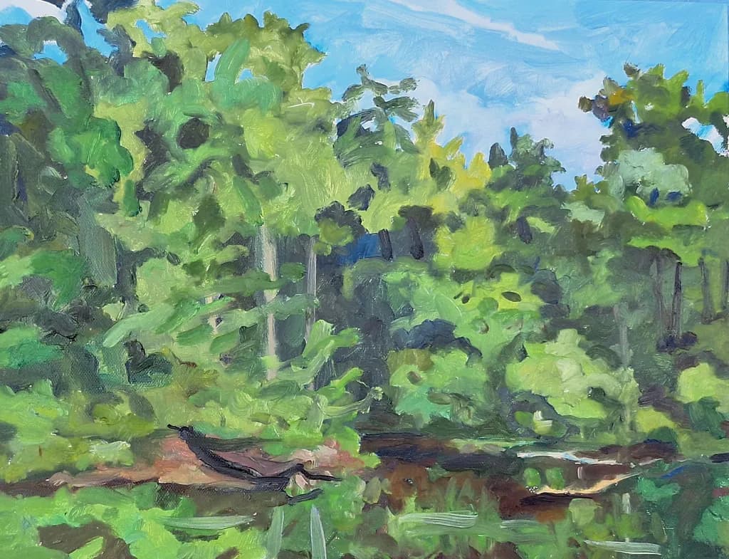 Zen Retreat Forest