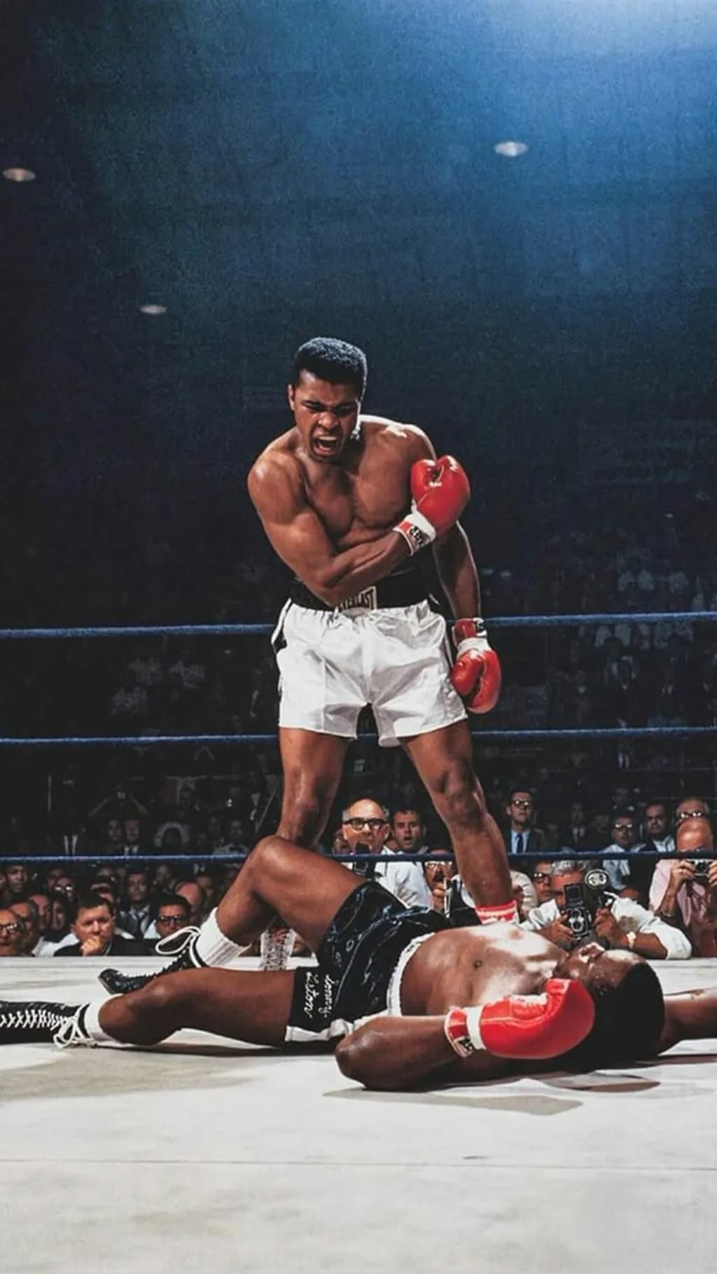 Boxing Knockout Moment