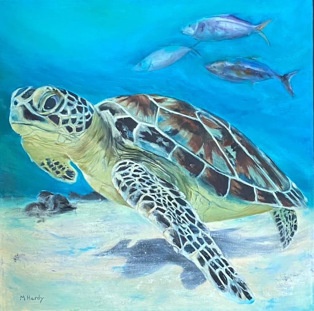 Sea Turtle and Fish