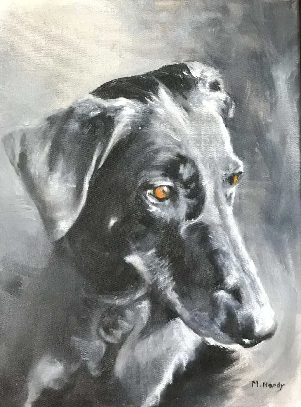 Black Dog Gaze