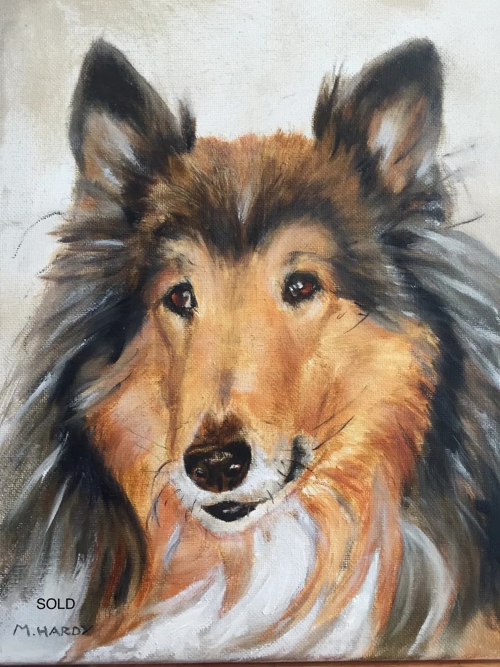 Collie Portrait