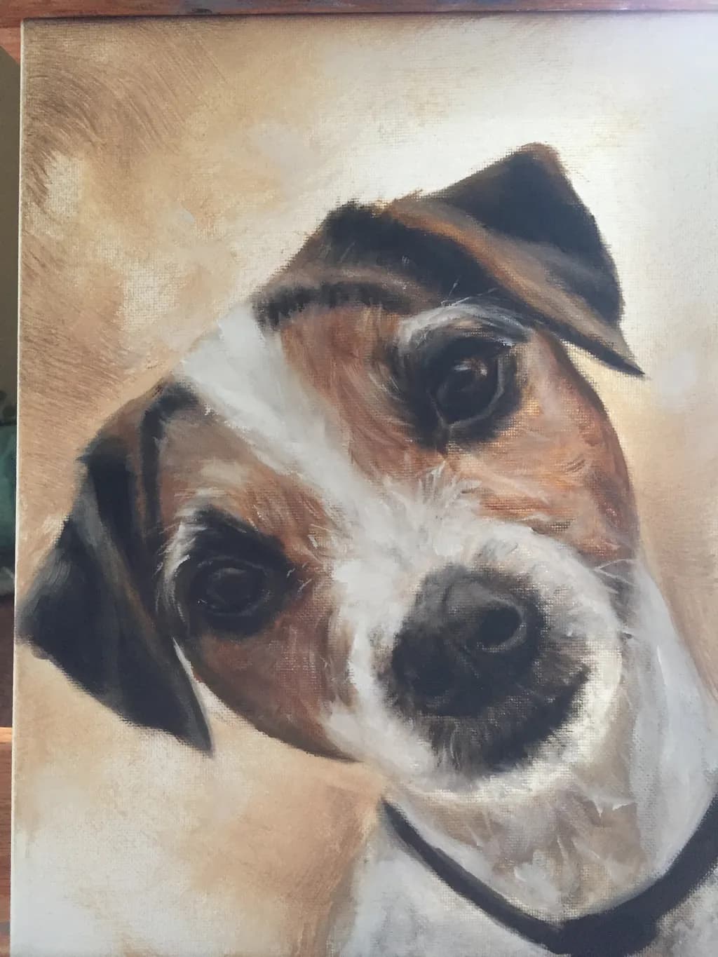 Curious Dog Portrait