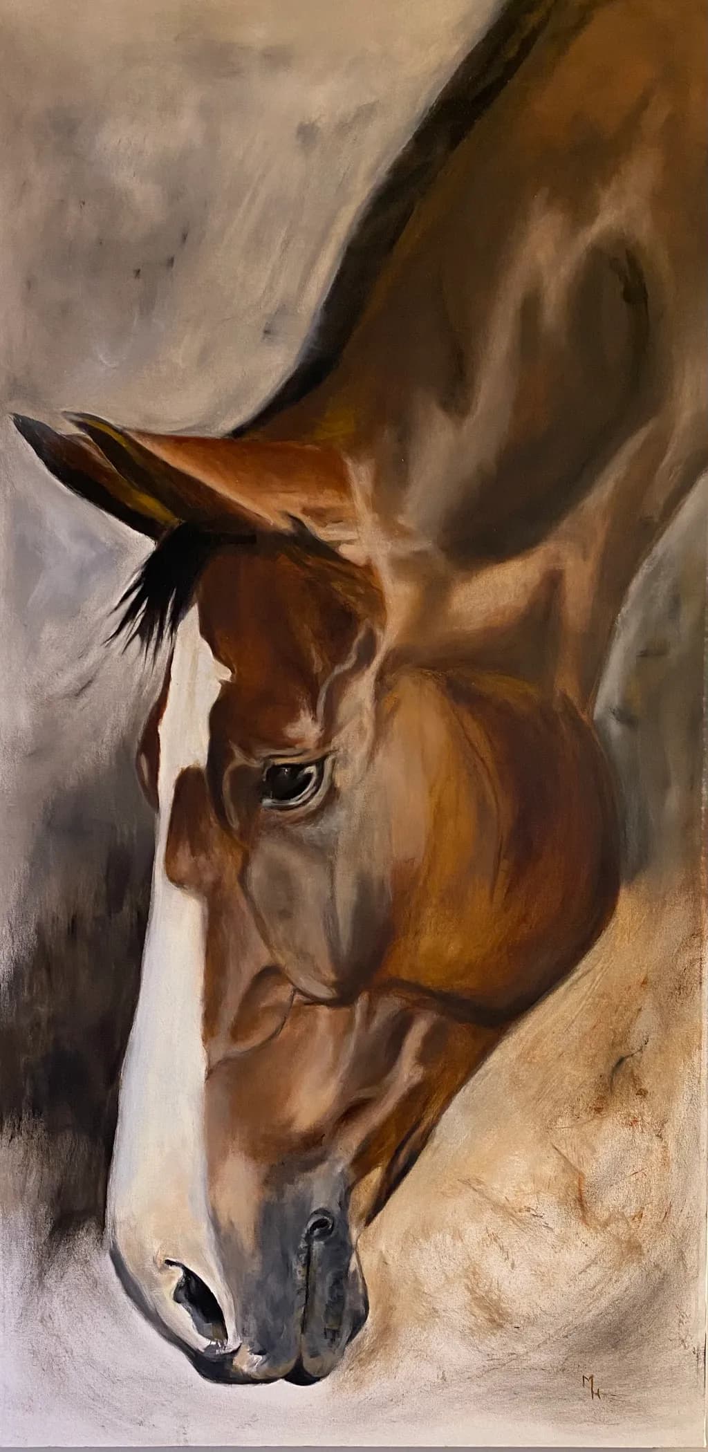 Horse Portrait