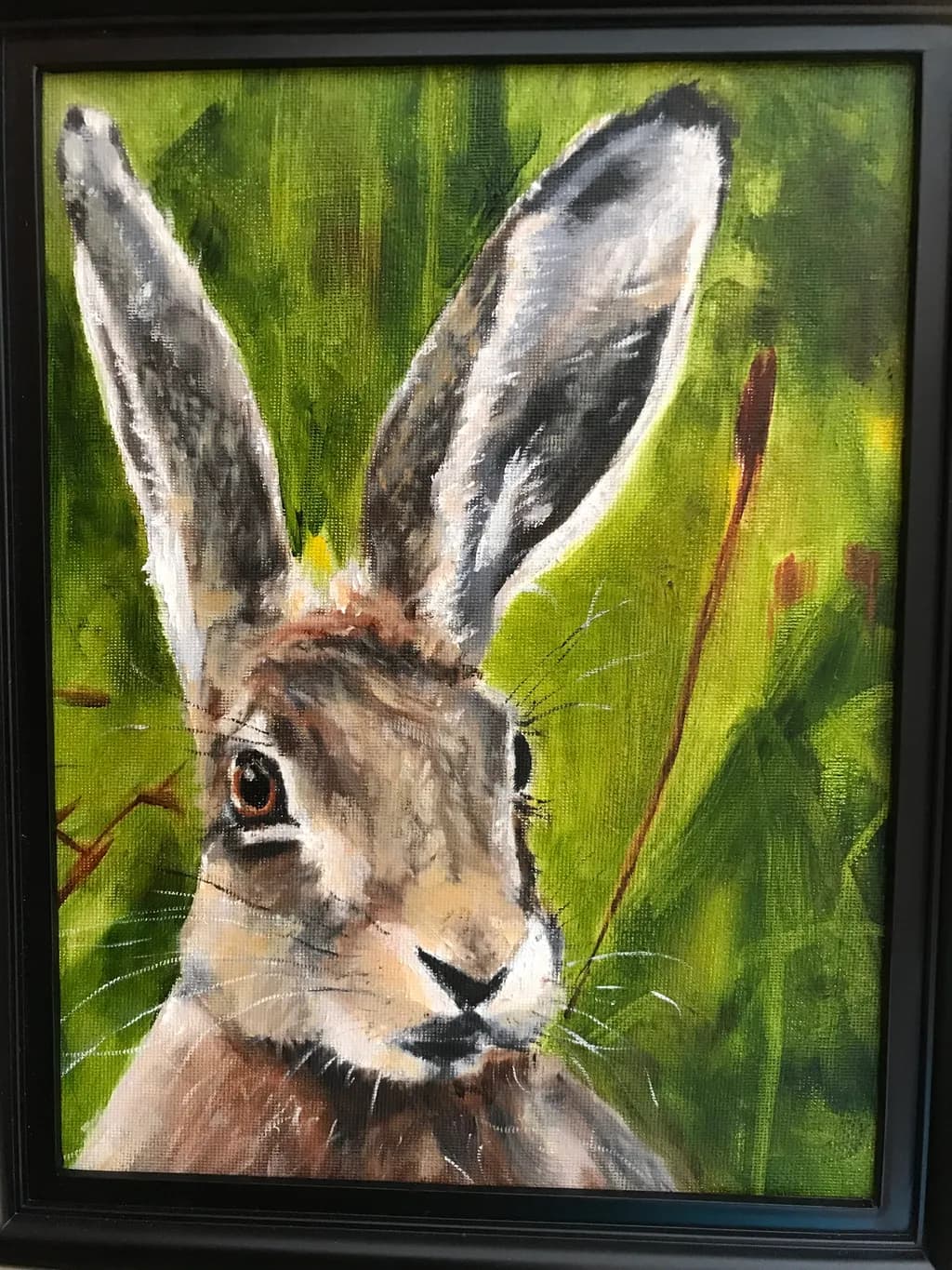 Curious Hare