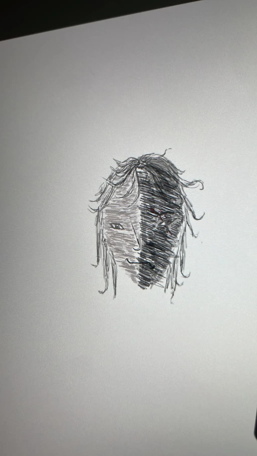 Dual Face Sketch