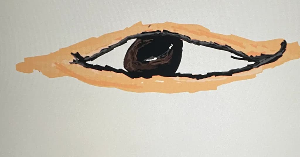 Eye Contour