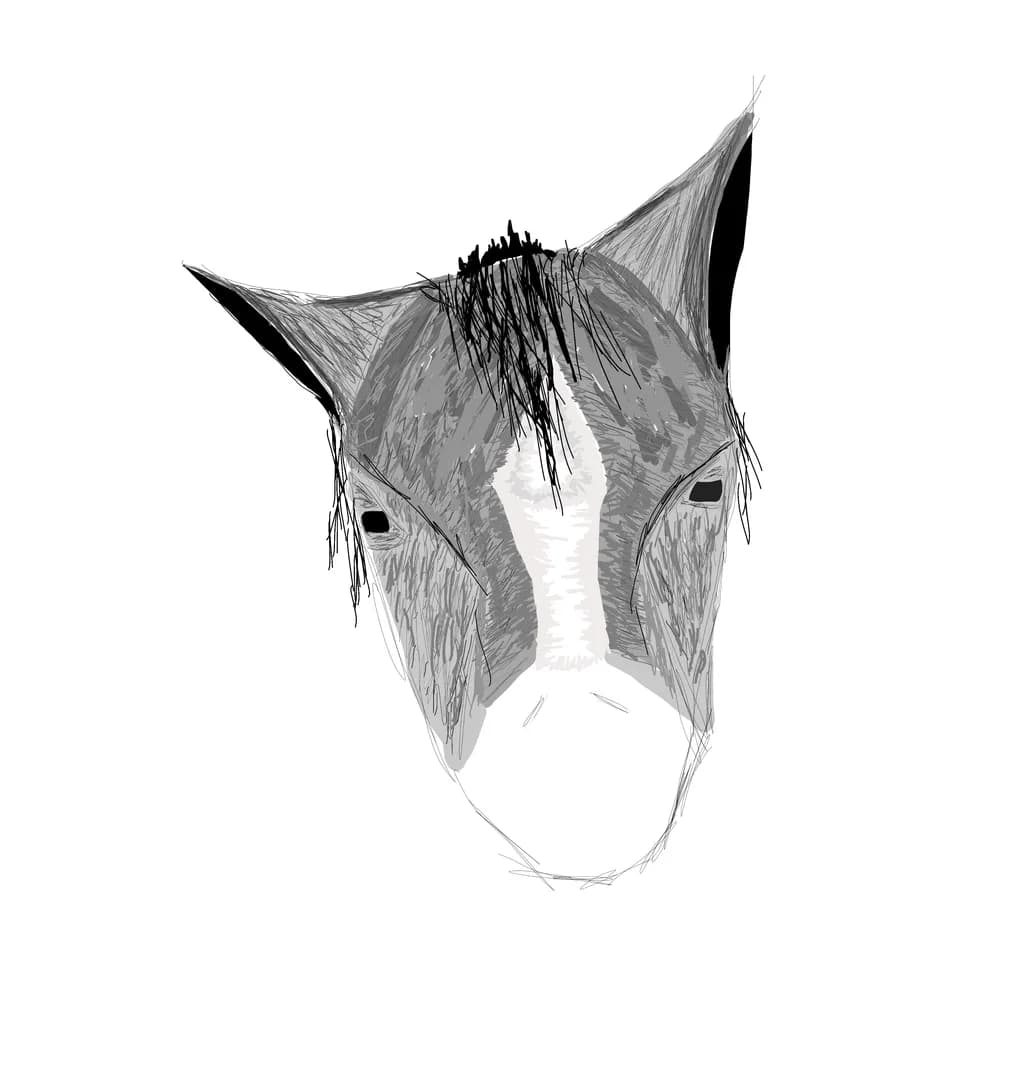 Horse Head Portrait