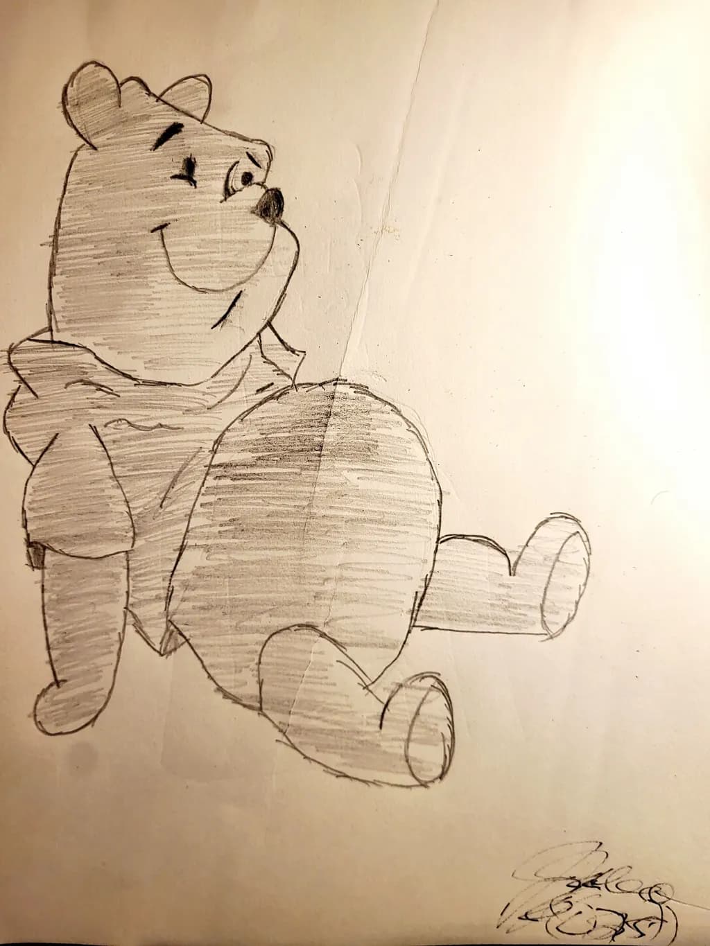 Relaxed Bear Sketch