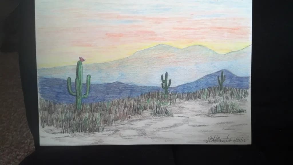Desert Cactus Sunset