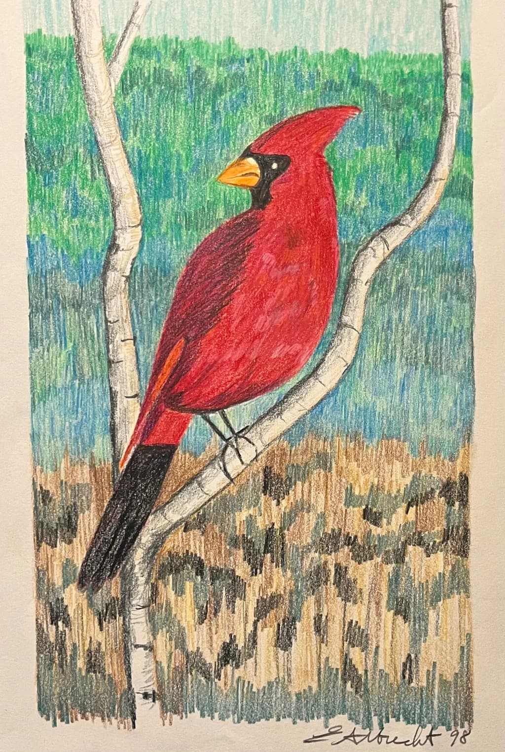 Cardinal on Tree Branch