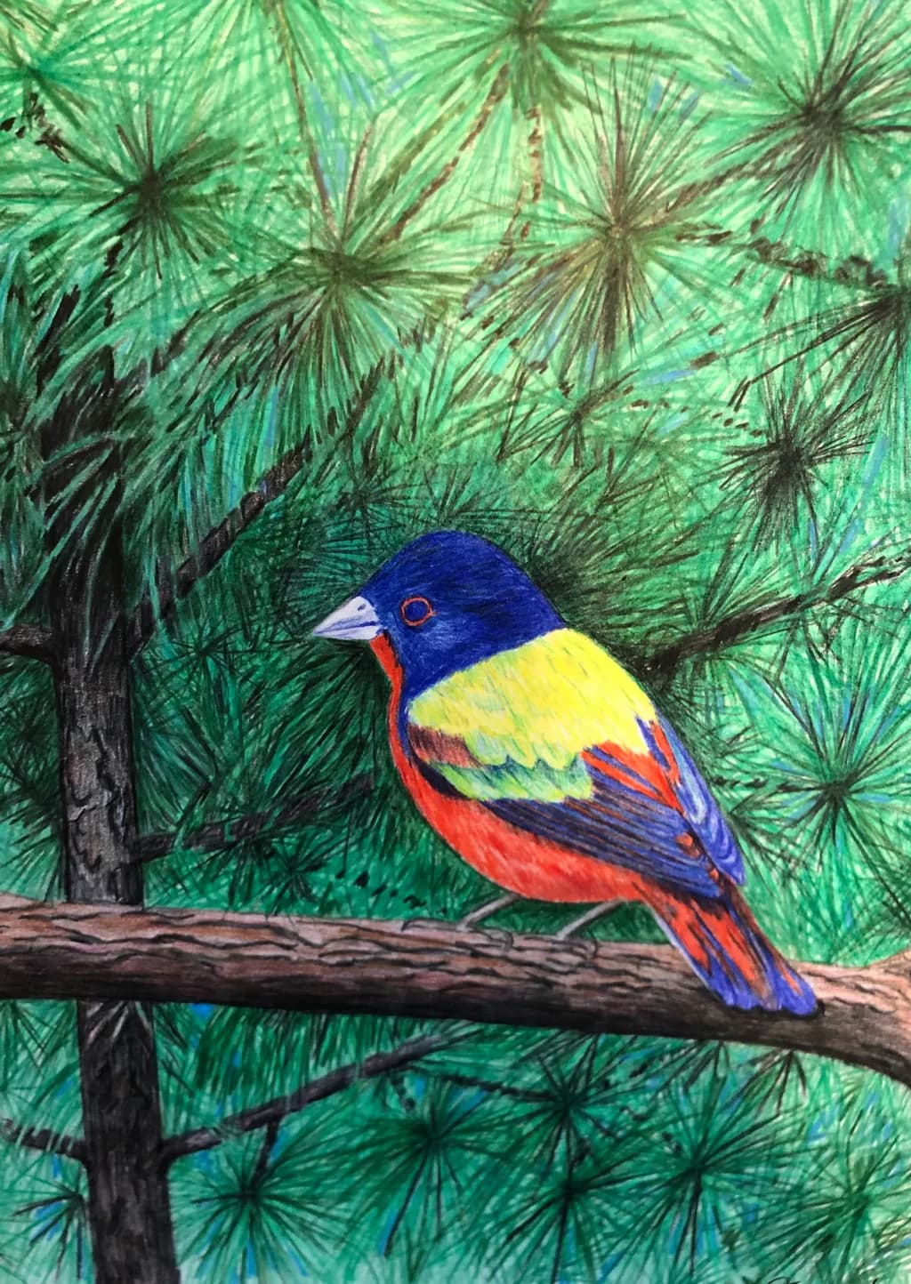 Pine Branch Bird