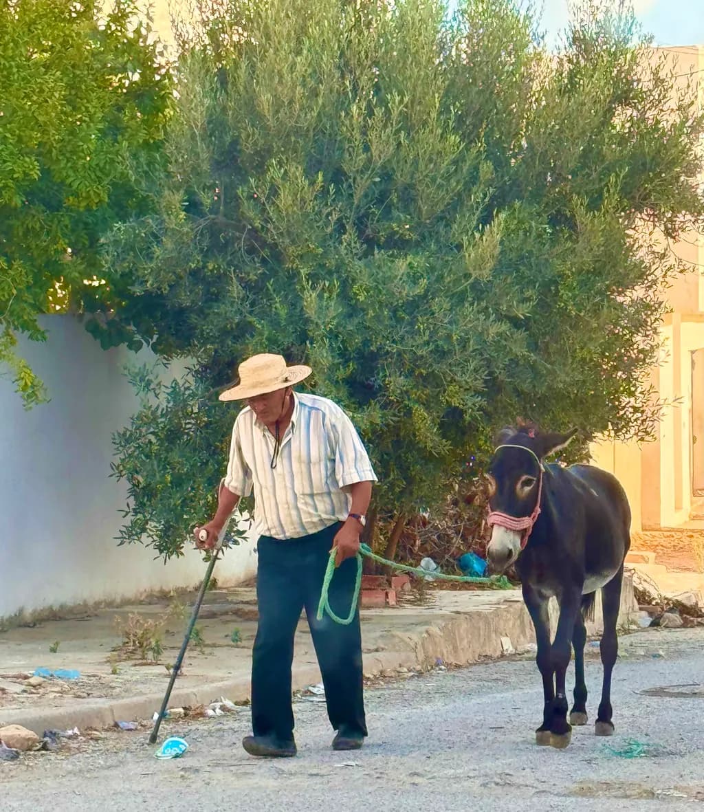 Man and Donkey Walk