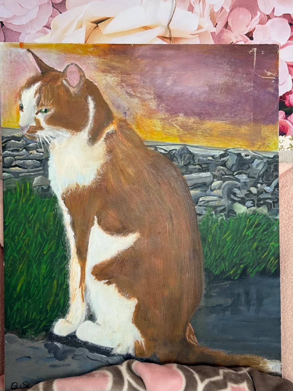 Cat by Stone Wall Sunset