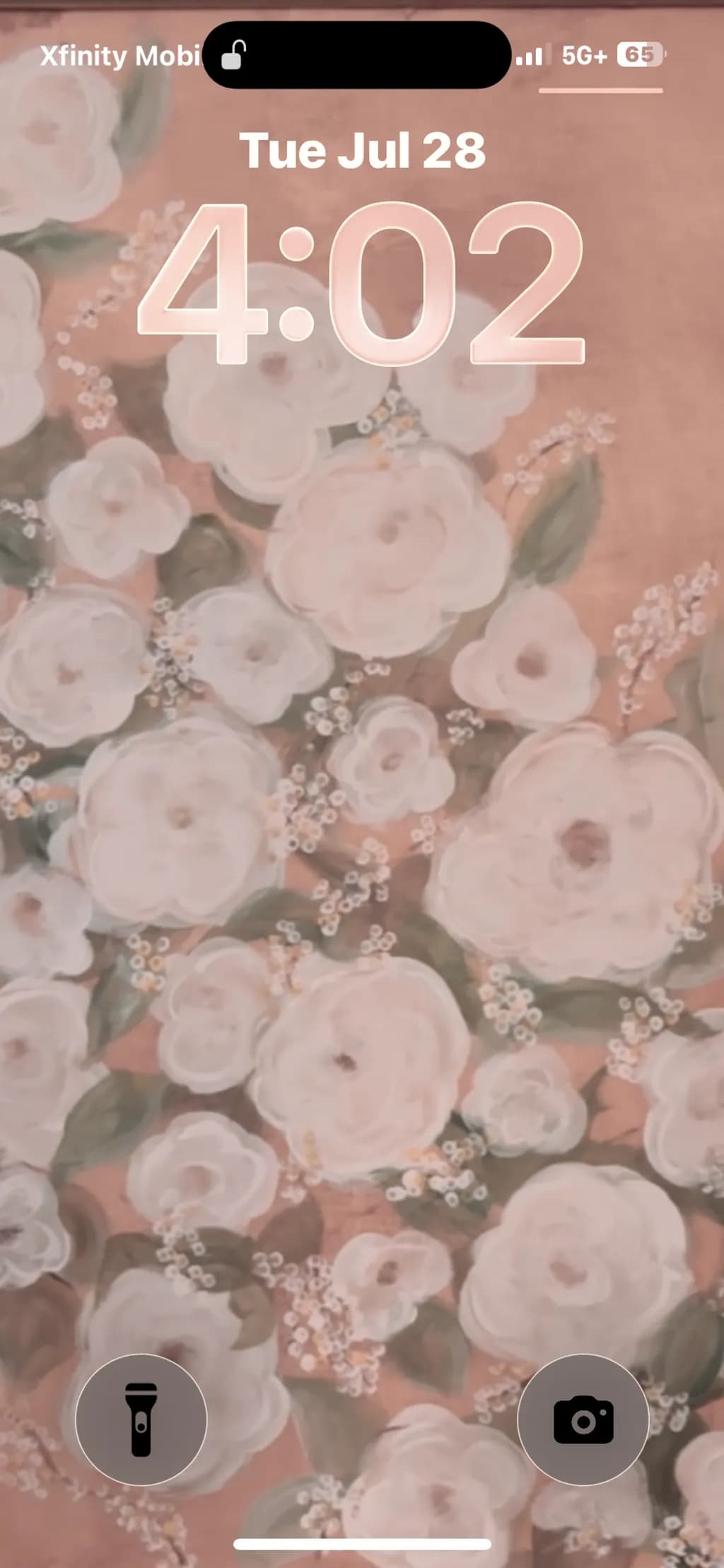 Blush Rose Garden
