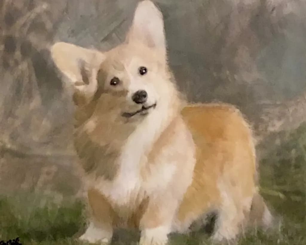 Corgi Portrait