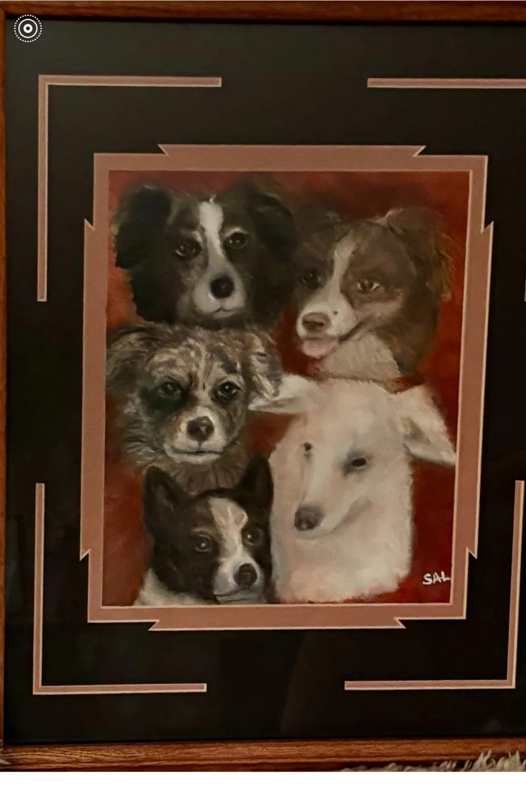 Five Dogs Portrait