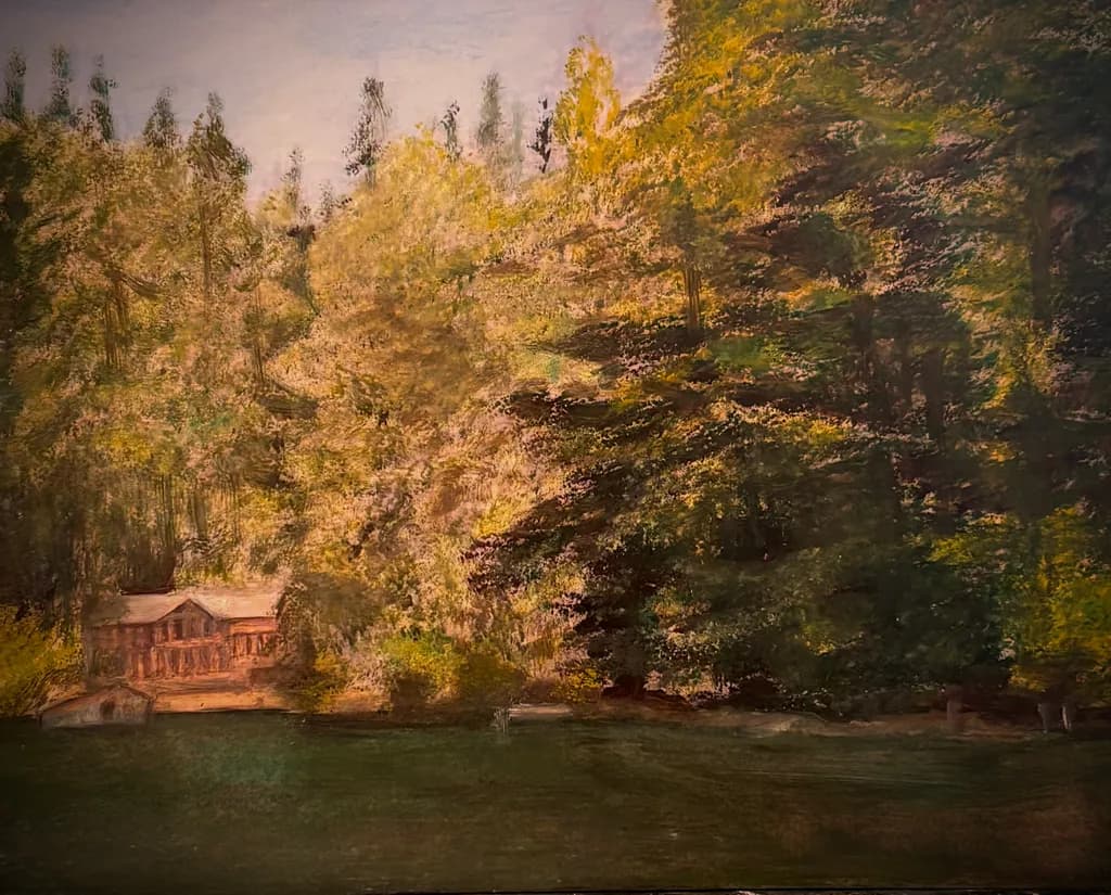Forest Cabin Reflection