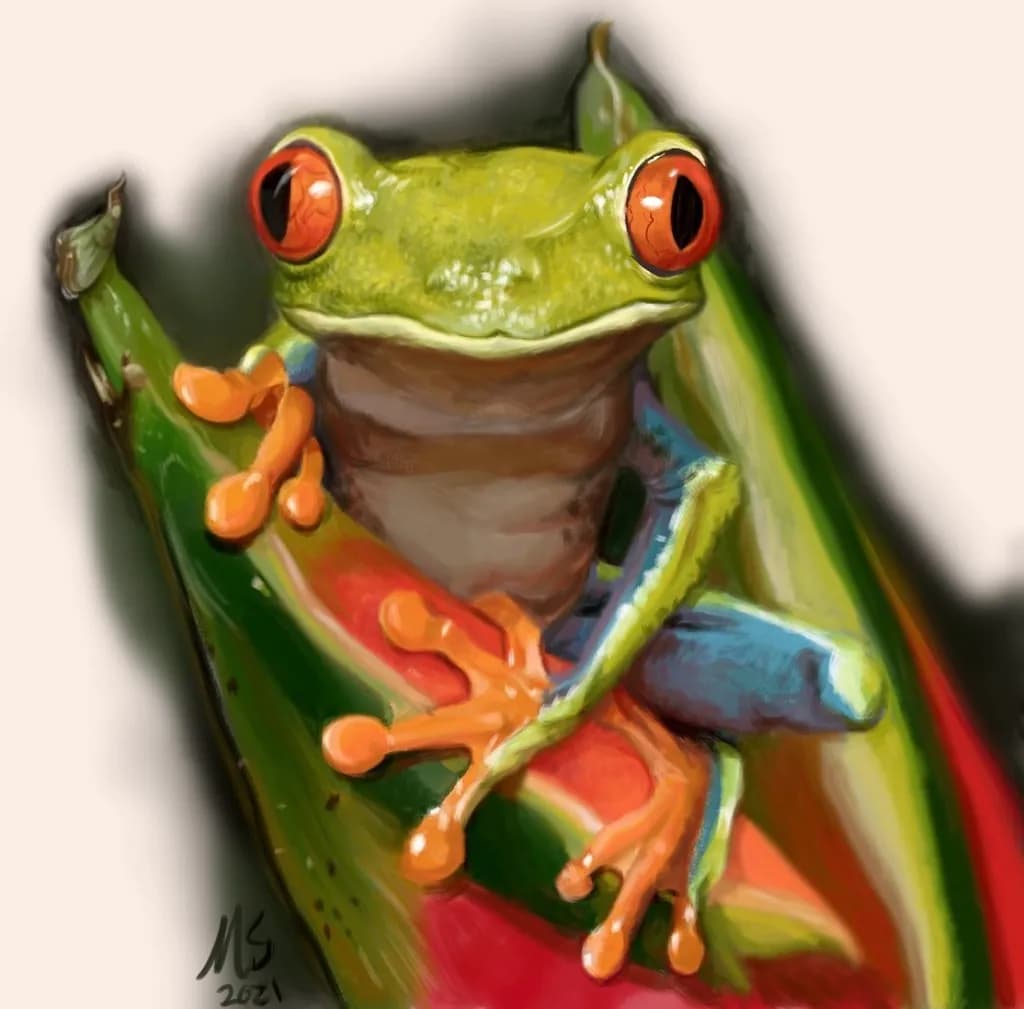 Red-Eyed Tree Frog