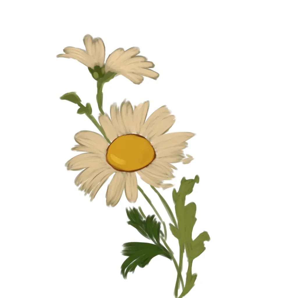 Daisy Duo