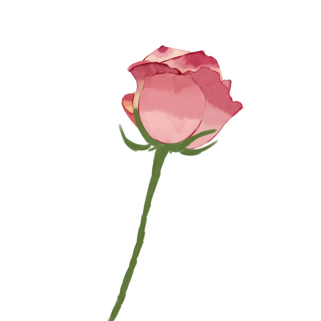 Pink Rosebud