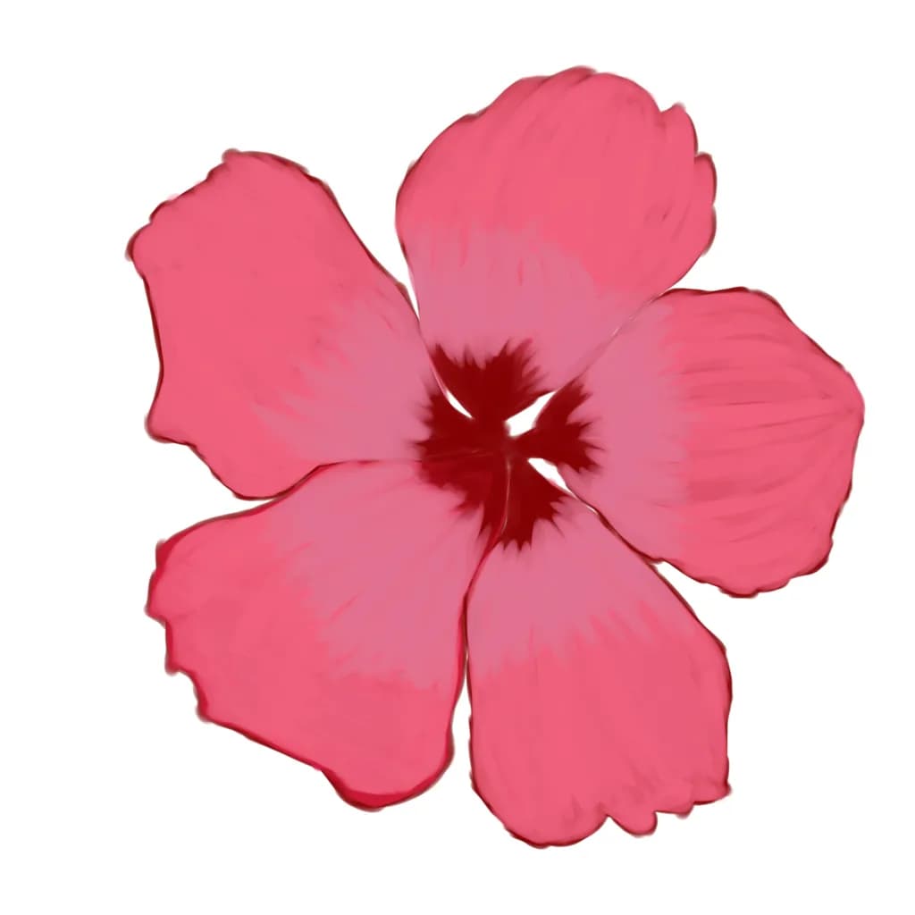 Pink Flower Burst