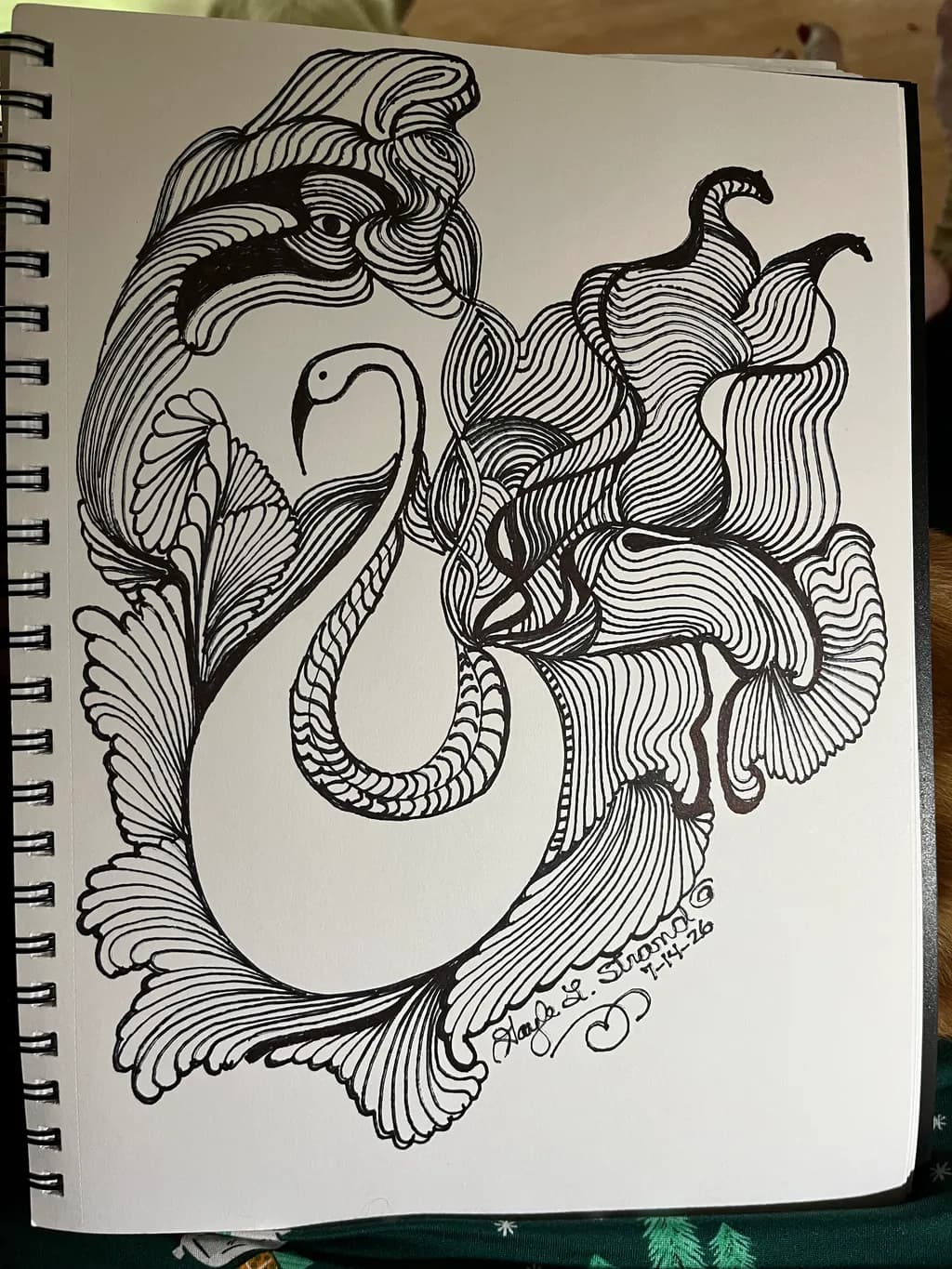 Flowing Swan Lines