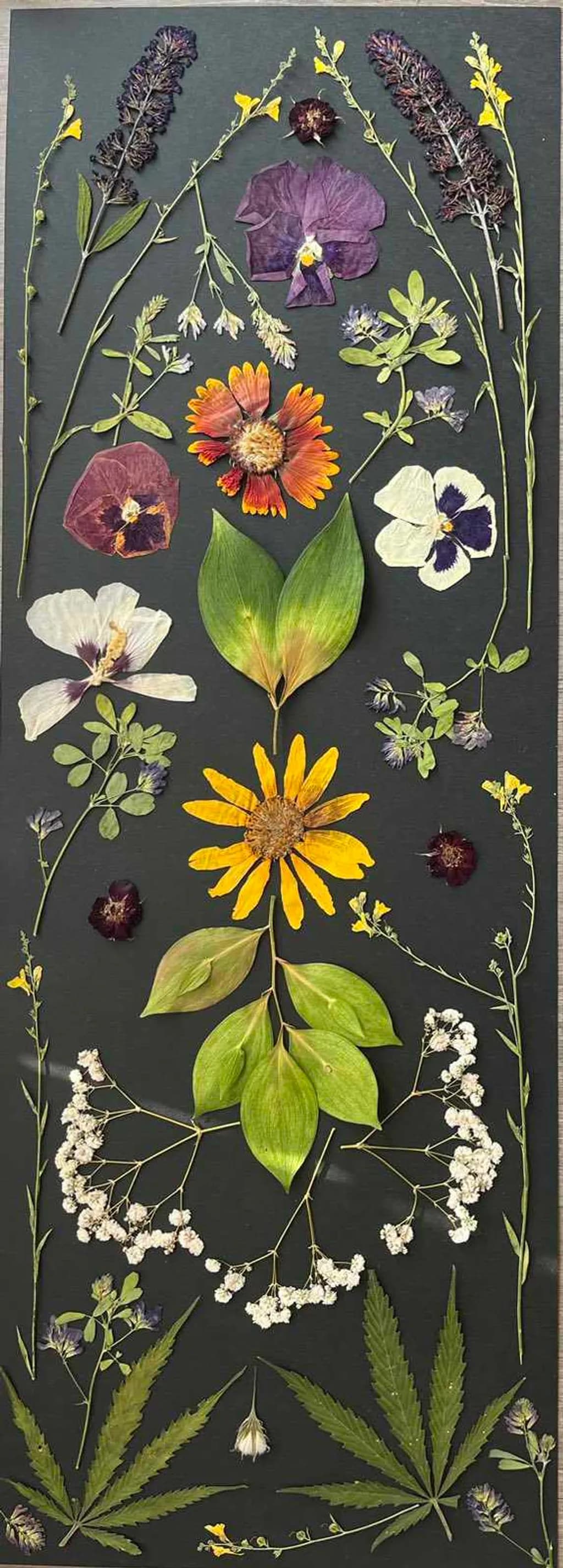 Pressed Flowers and Leaves Arrangement