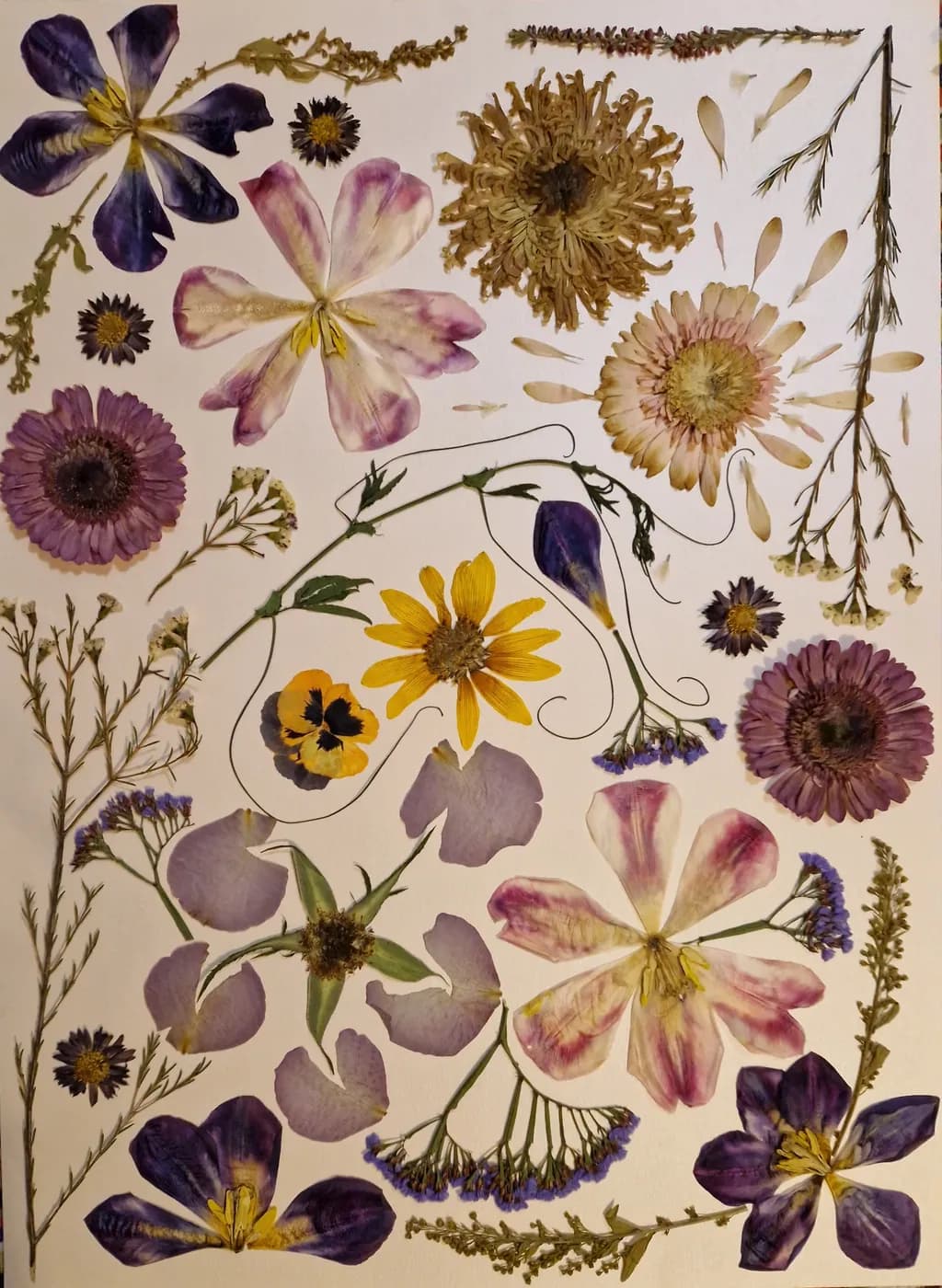 Pressed Flower Arrangement