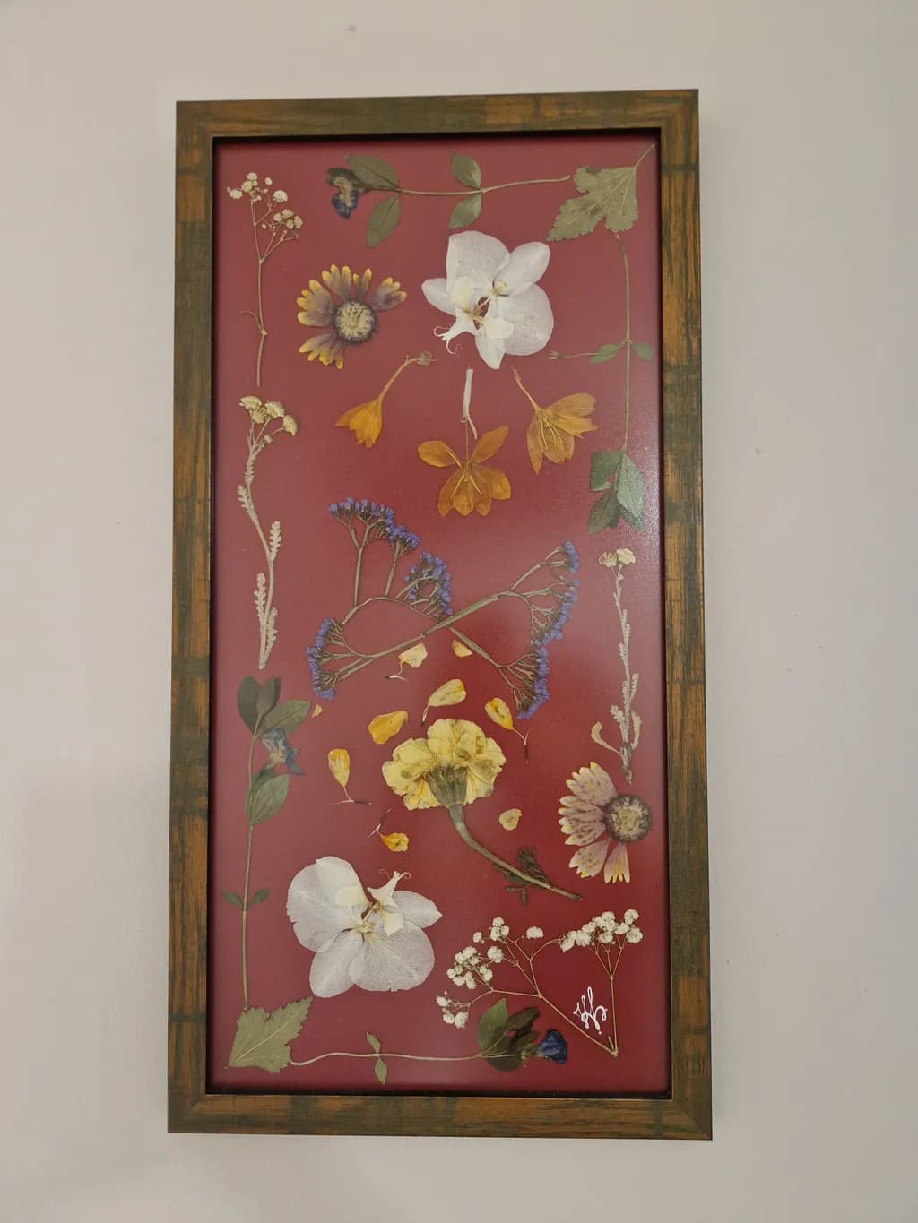 Pressed Flowers Display