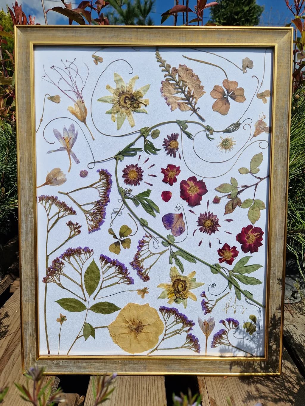 Pressed Flowers Arrangement