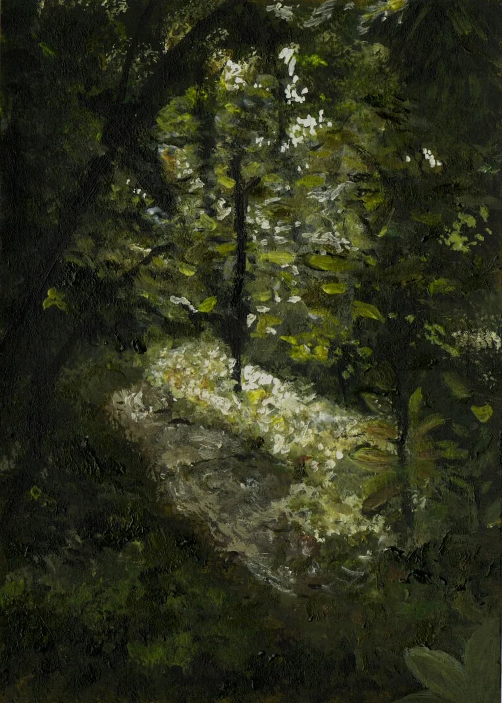 Shaded Forest Path