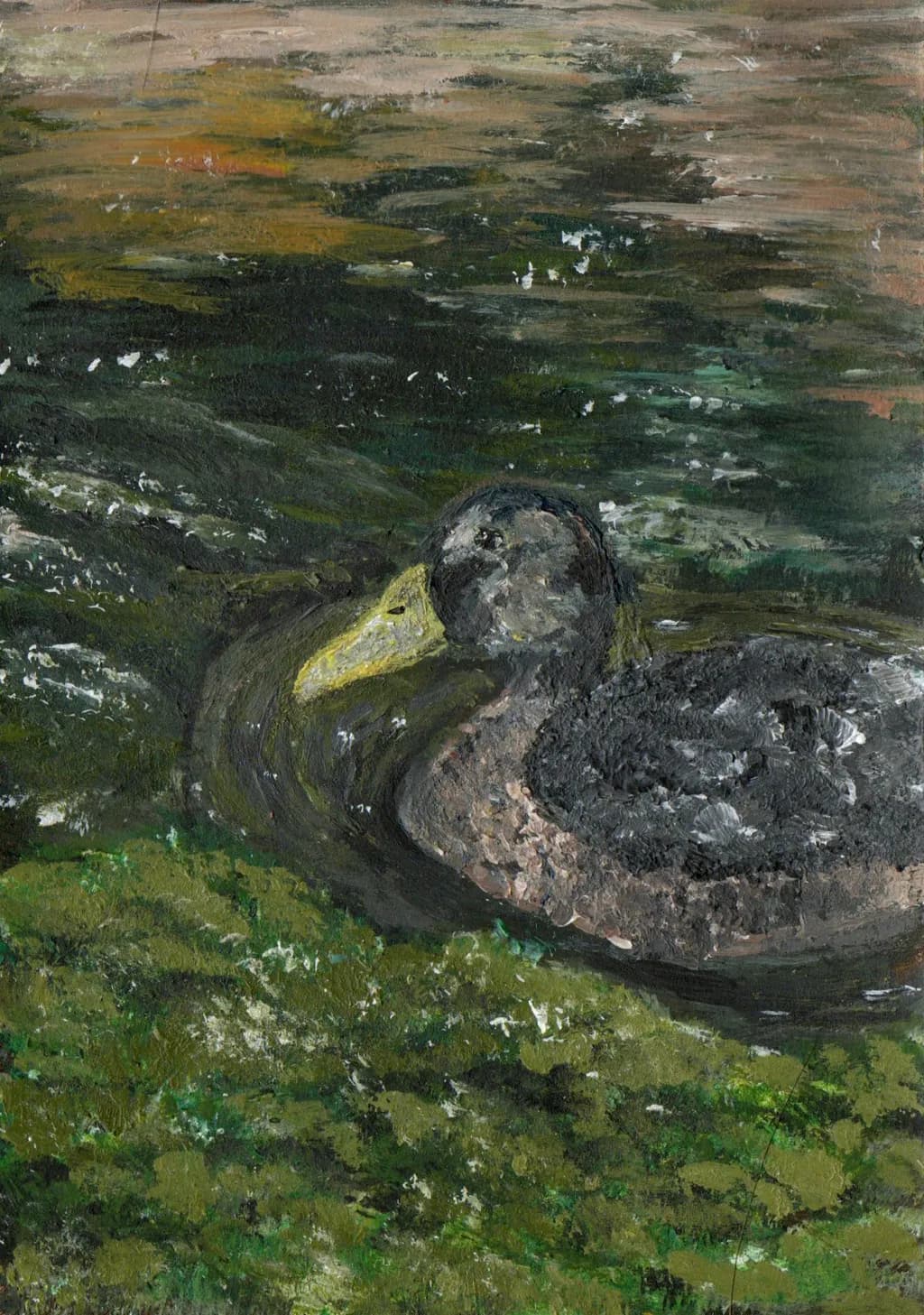 Duck on the Pond