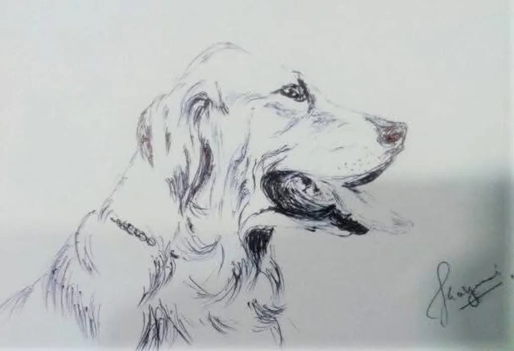 Inbound Dog Portrait