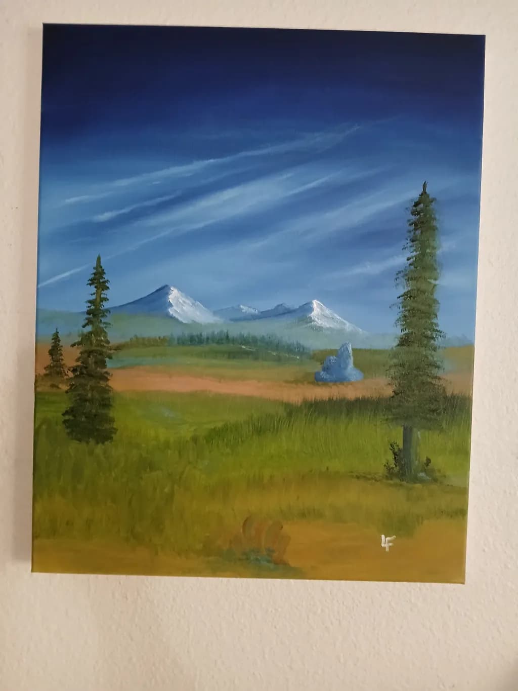 Mountain Meadow Landscape