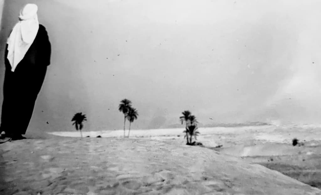 Desert Silence with Palms