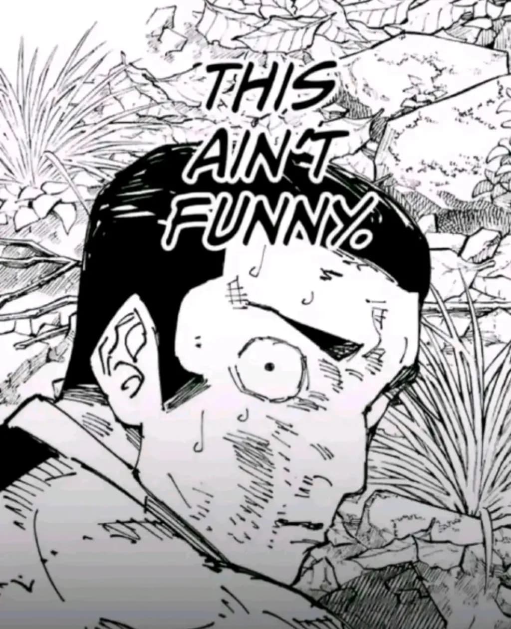 Forest Anxiety