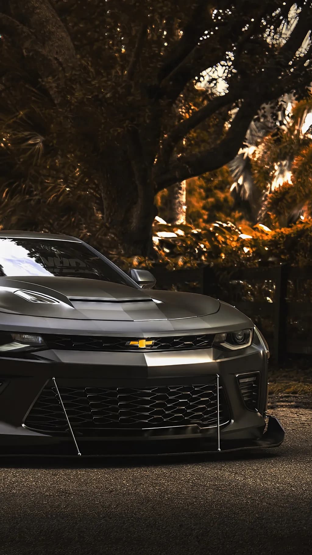 Chevrolet Camaro Frontview