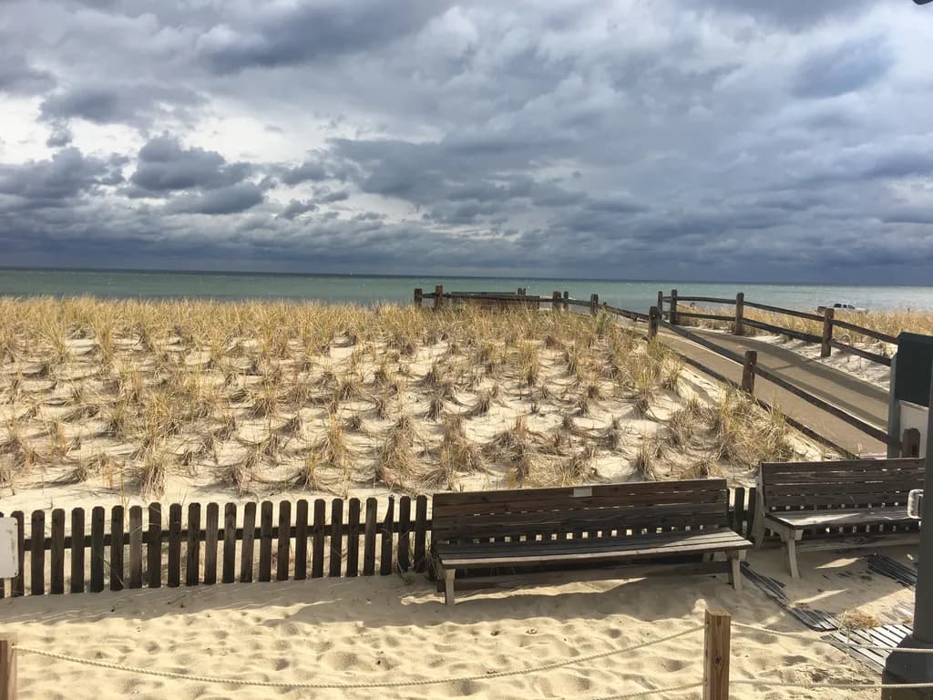 Stormy Beach Dunes