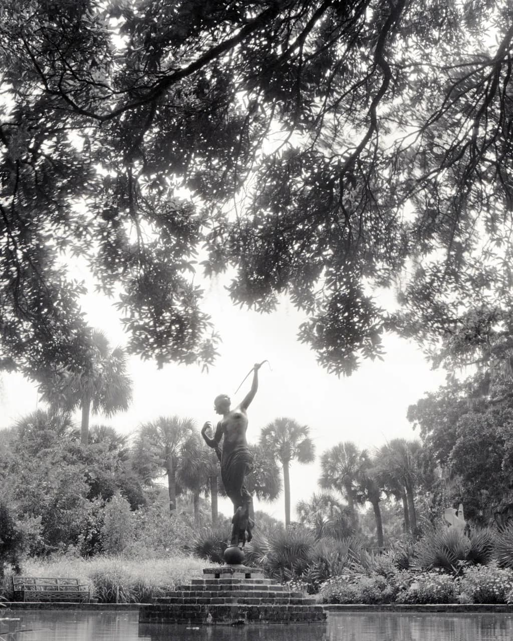 Diana Under Trees