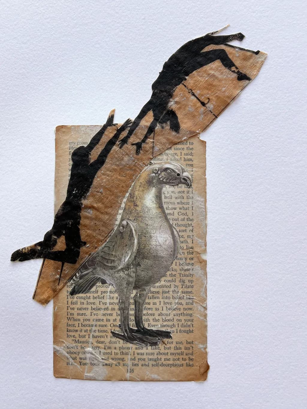 Pigeon on Vintage Text