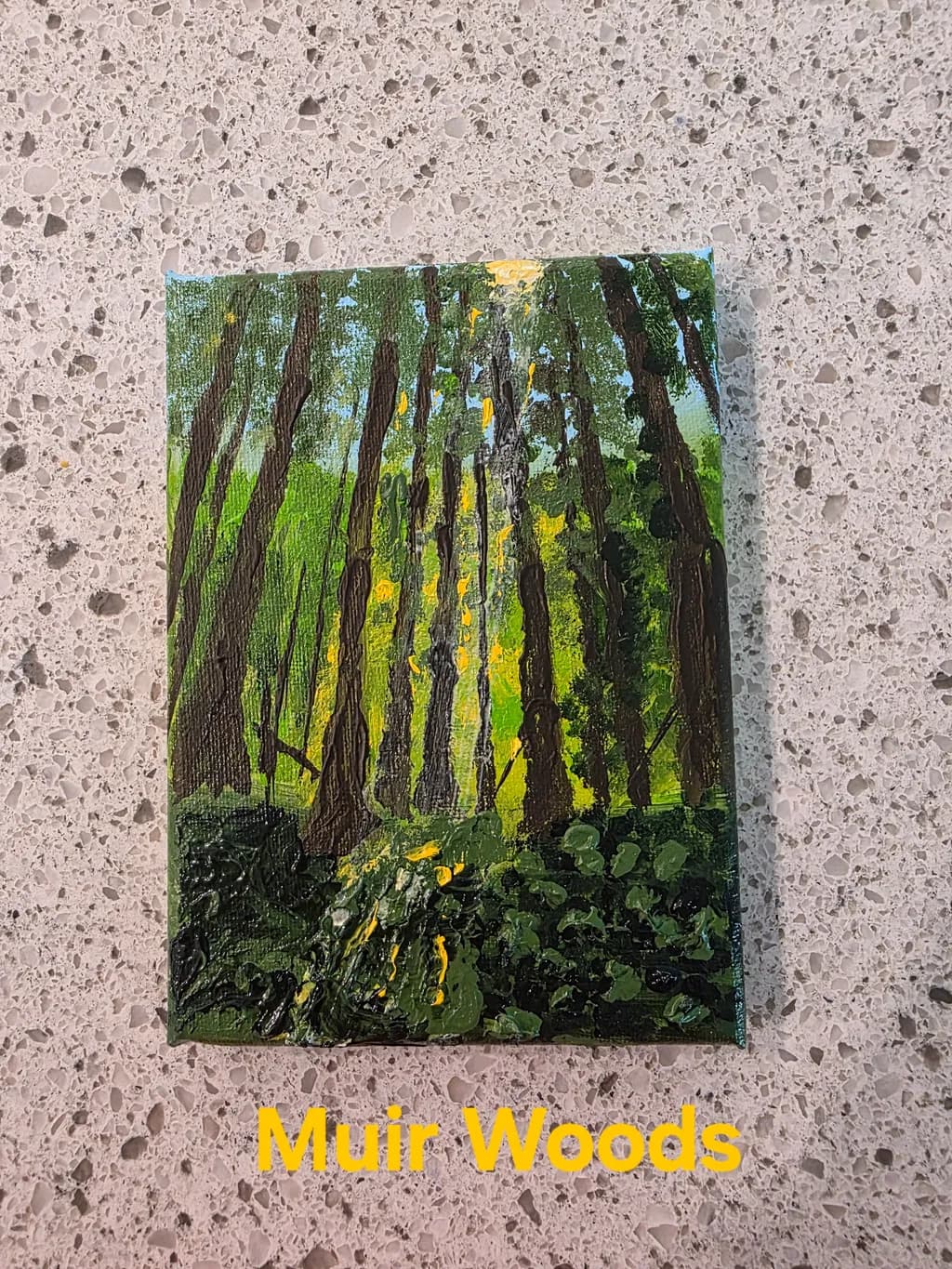 Muir Woods Forest