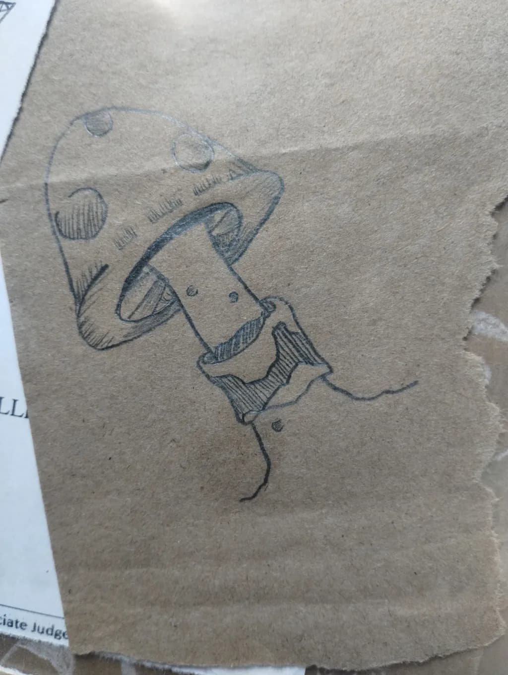 Spotted Mushroom Sketch