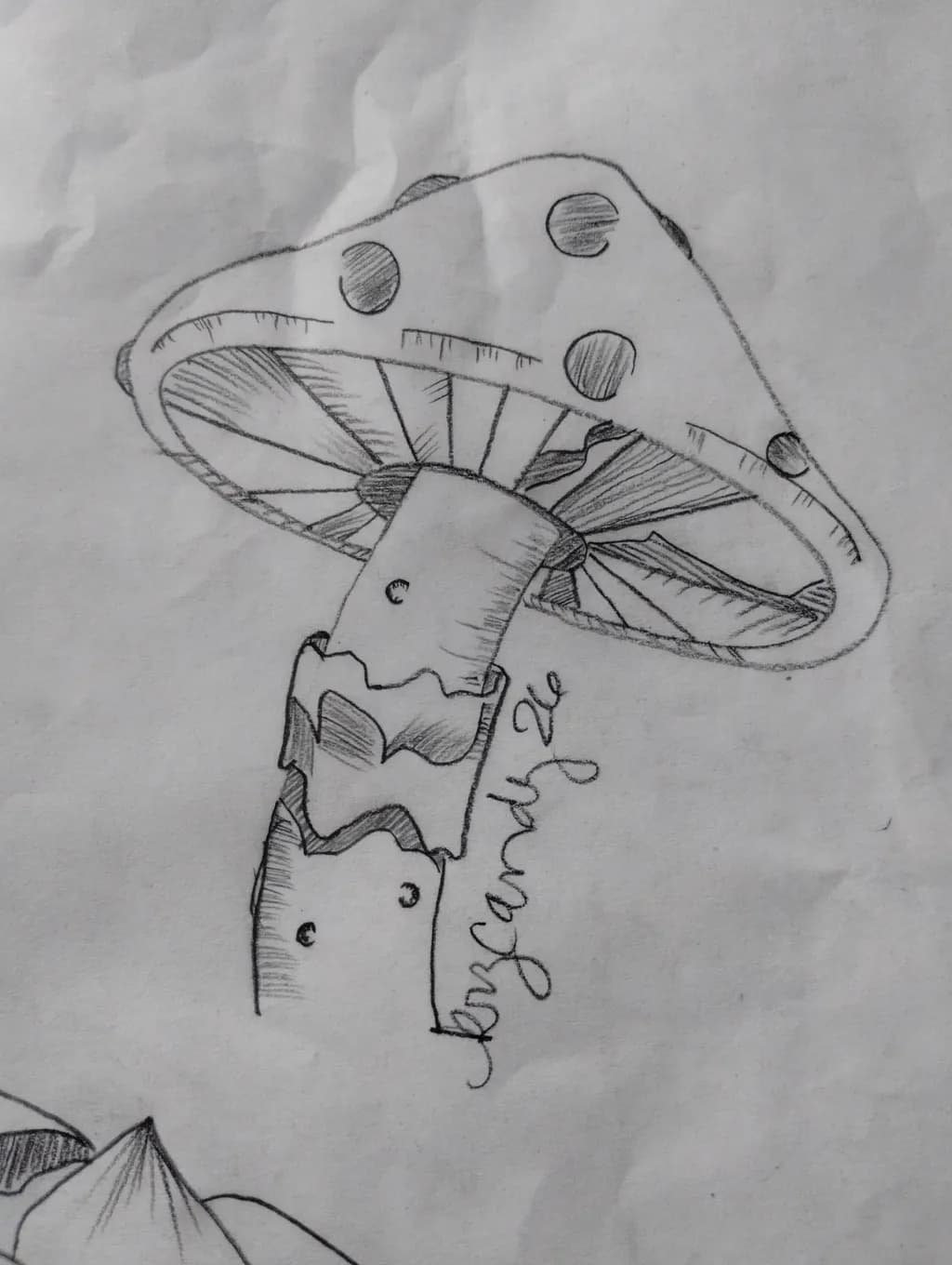 Spotted Mushroom Study