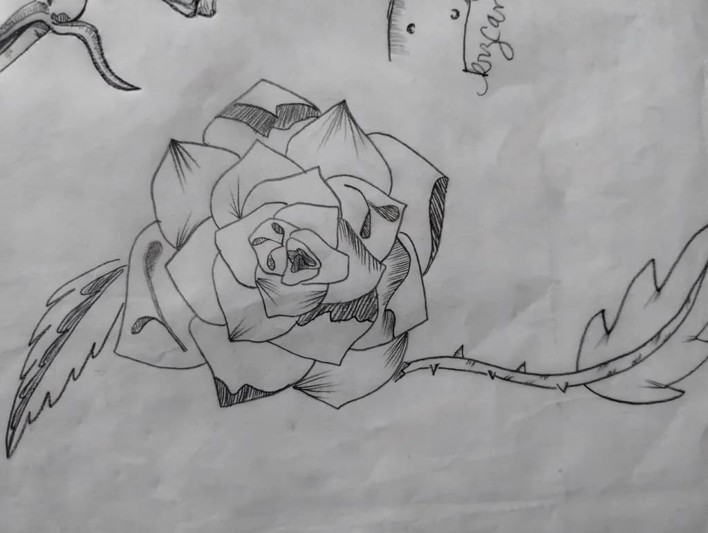 Pencil Rose Sketch