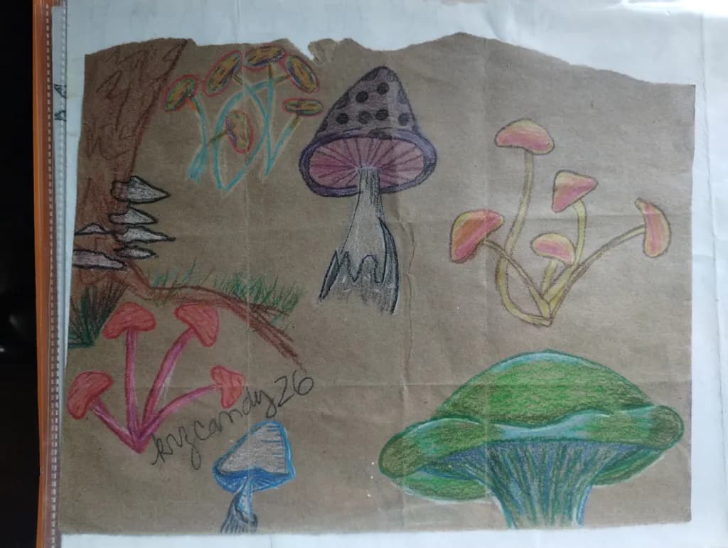 Mushroom Garden Study