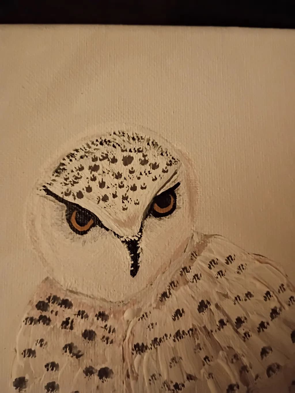 Snowy Owl Portrait
