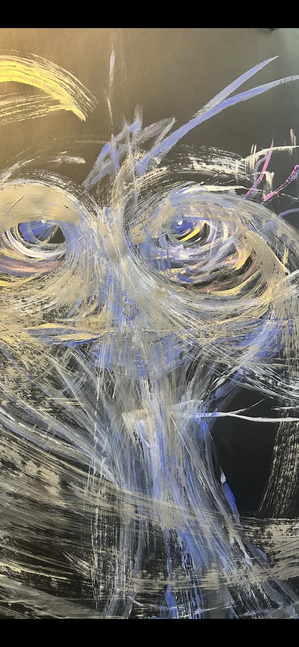 Owl Gaze