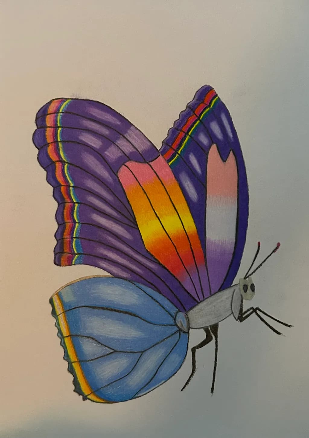Rainbow Butterfly Wings